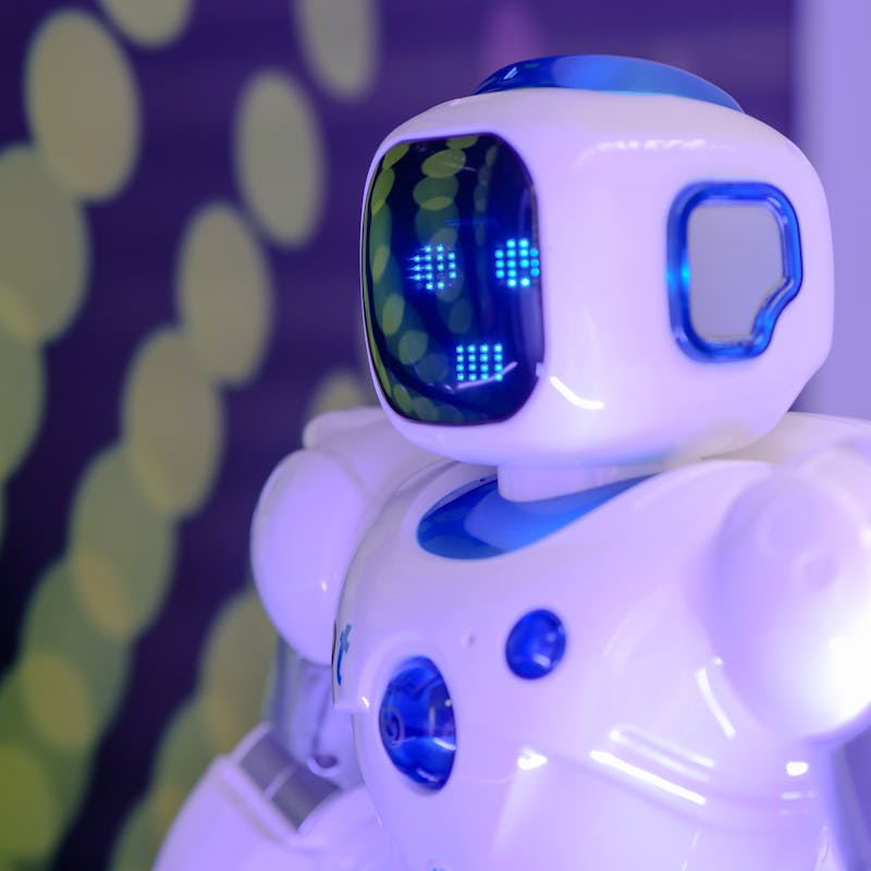 pexels-photo-8566540-1