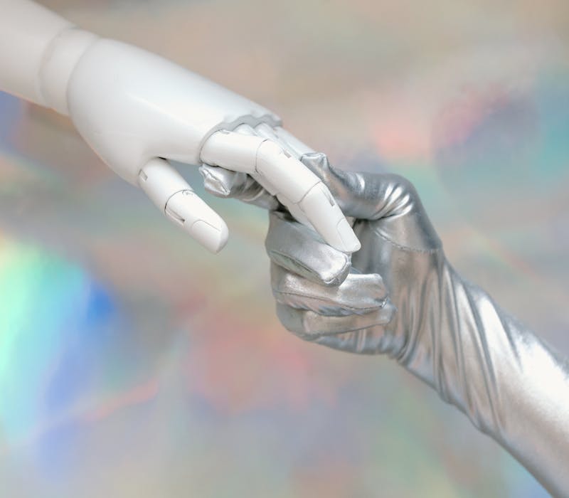 pexels-photo-8849283-1