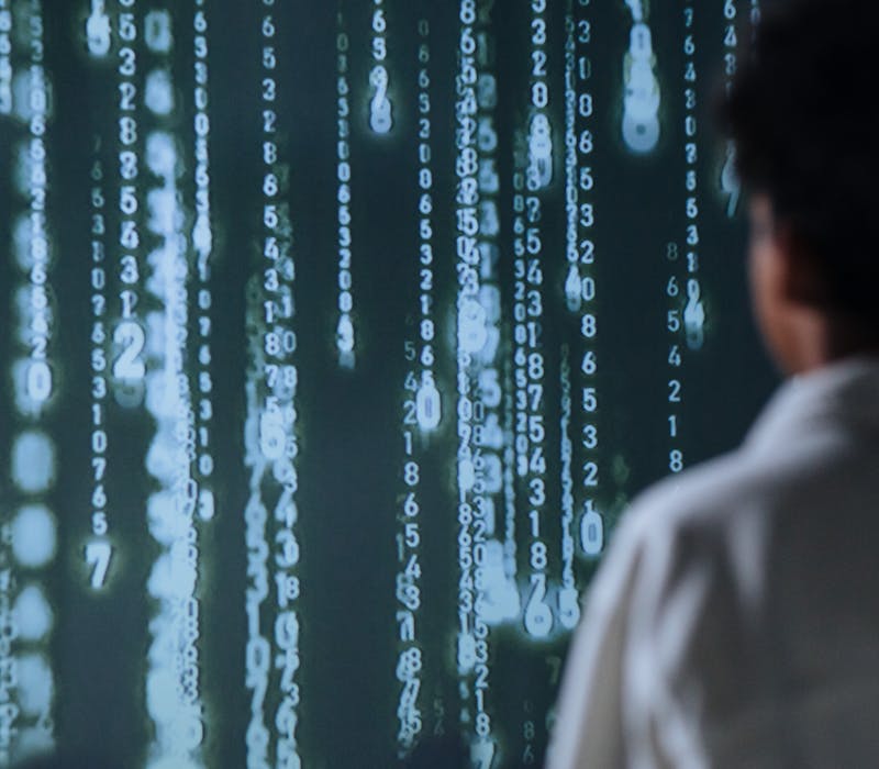 pexels-photo-9783346-1